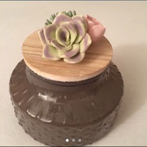 Succulent jar